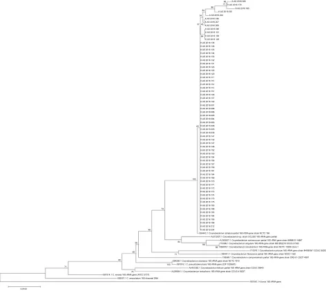 Figure 1 Phylogenetic tree based on neighbor-joining method using 16s rRna gene sequences