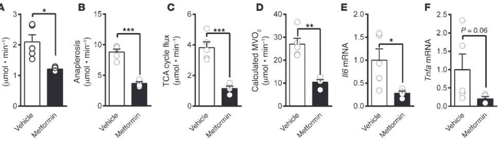 Figure 7. Metformin suppressed oxidative metabolism and anaplerosis and lowered inflammation in livers of mice on a HFD