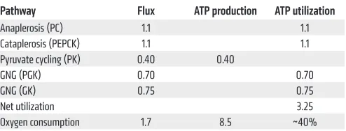 Table 3. Energetic demand of GNG in perfused liver