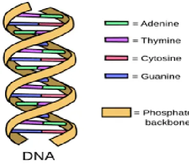 Fig 2: DNA Storage System 