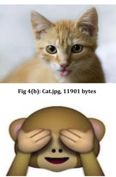 Fig 4(c): Smiley.jpg, 5665 bytes 