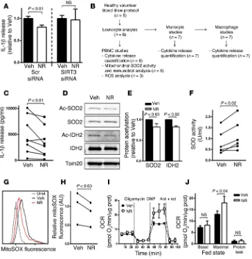 Figure 6. A SIRT3 agonist blunts inflammasome activation and improves mitochondrial function