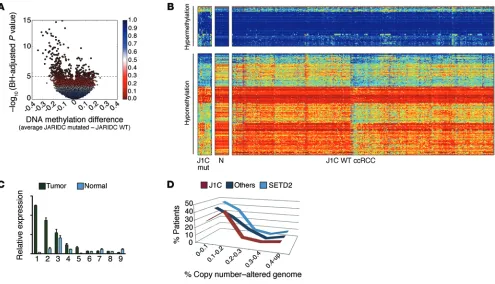 Figure 6. JARID1C-inactivating mutations cause derepression through aberrant heterochromatic transcription, enhanced genomic rearrangements, and poor prognosis in ccRCC patients