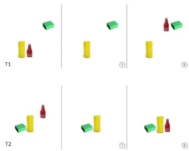 Figure 1: Sample instructions for tasks T1 and T2.