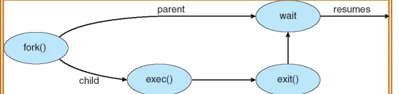 Figure below is part of a class slide representing the application of command  “processstatus” (“ps”) in Unix OS