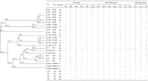 Figure 2 clonal dendrogram and detailed molecular characteristics of 28 MRsa isolates.Abbreviations: cc, clonal complex; Iec, immune evasion cluster; MRsa, methicillin-resistant Staphylococcus aureus; sT, sequence type; nT, non-typeable.