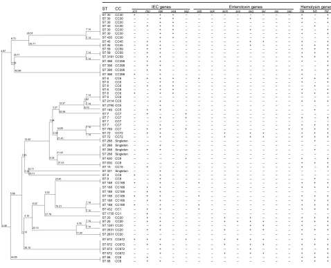 Figure 3 clonal dendrogram and detailed molecular characteristics of 61 Mssa isolates.Abbreviations: cc, clonal complex; Iec, immune evasion cluster; Mssa, methicillin-sensitive Staphylococcus aureus; sT, sequence type.