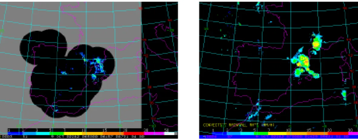 Fig. 4. Radar image of the Baltex Project over the Baltic Sea to the south of Scandinavian Peninsula and Denmark on the 21th June 2000 at 14:00 moderate convection over Sweden is observed.