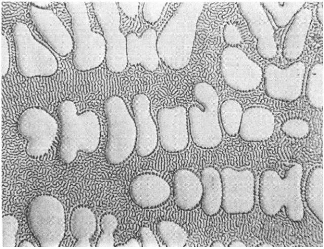 Figure 1. One often assumes that 
