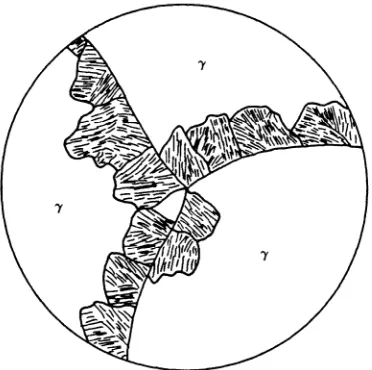 Figure 10. An example of a nodule 