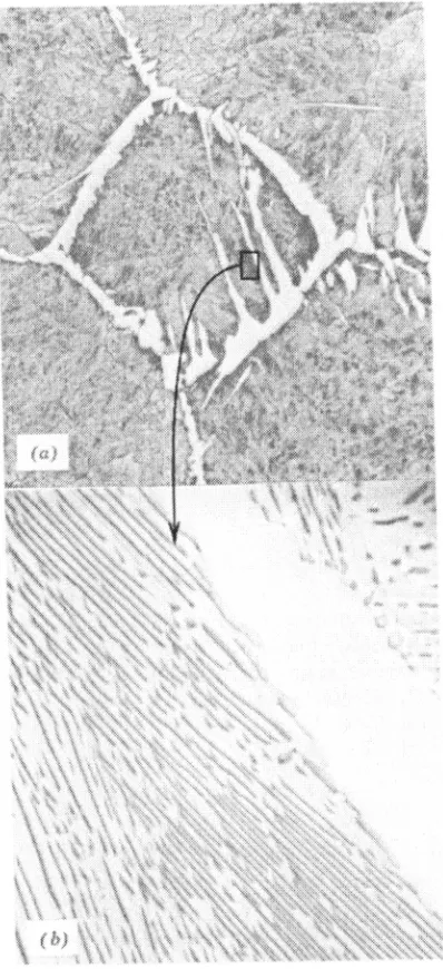 Figure 12. An AISI 1040 steel transformed by slow continuous cooling 