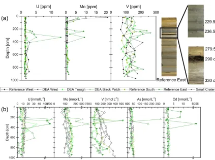 Figure 7. Dissolved Mn, Co, and Cu concentrations in the porewater of the sediment cores