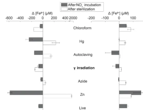 Figure 3. Changes in extractable Fe2+ (left) and Fe3+ (right) con-centration in Quistococha peat soil incubations after sterilization(difference between sterilization baseline and live baseline value)and after NO−2 amendment and incubation (difference betw