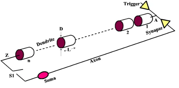 Figure 1. Model of a dendritic path (S1 is a simulation switch to close the loop).  