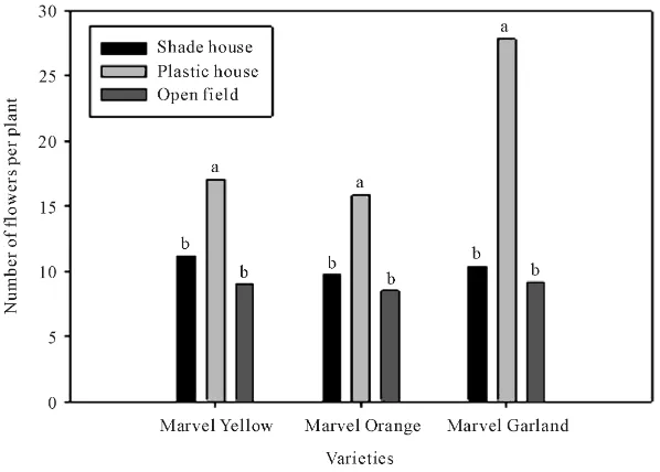 Figure 4. Effect of growing conditions in number of days to flower in different varieties of marigold, text represents the significant difference values