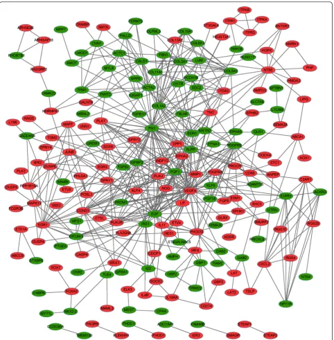 Fig. 1 Protein-protein interaction (PPI) network of differentially expressed genes (DEGs)