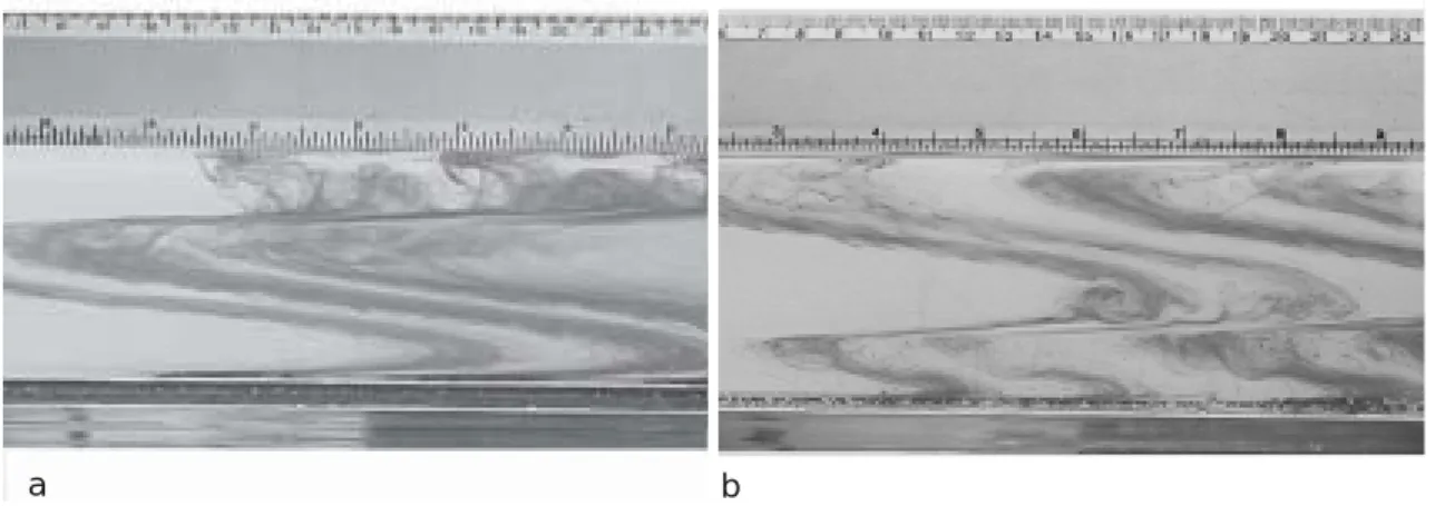 Fig. 1. Photographs illustrating two-cell THC between pole (left) and equator (right) under surface (a) and bottom (b) forcing experiments when the buoyancy ratio R =  β ∆ S / α ∆ T =1 and aspect ratio