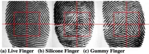 Fig-1:  Real fingerprints and Spoofed fingerprints 