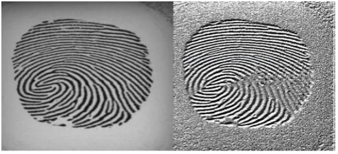 Fig- 3.a: Input Image           Fig -3.b: Noise Reduced 