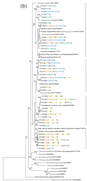 Figure 5. Neighbor-joining phylogenetic tree of AOA amoA (a) and AOB amoA (b). The phylogeny is based on nucleotide sequences.Bootstrap values ≥ 50 % (of 1000 iterations) are shown near the nodes
