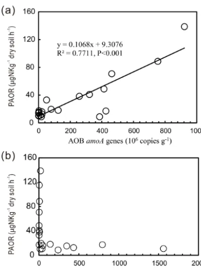 Figure 4. Correlation between potential ammonia oxidation rates(PAORs) and AOA and AOB amoA gene copy numbers in tundrasoils of maritime Antarctica.