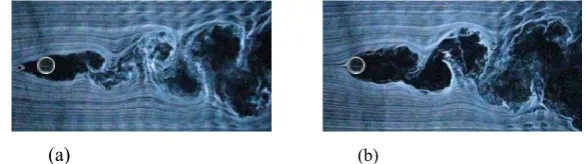 Fig. 1. Flow visualization of a single cylinder (= 20 mm, Re = 1.1 × 10 4D ) (a) with and (b) without a rod 