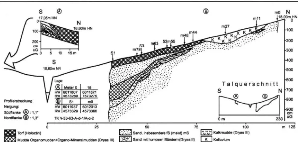 Abb. 9: Profil Ahrendsee 2. 