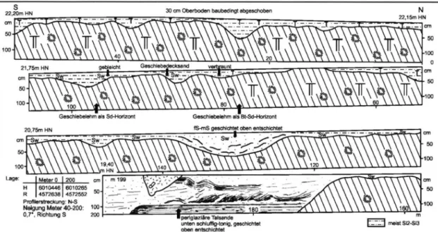 Abb. 7: Profil Ahrendsee 1. 