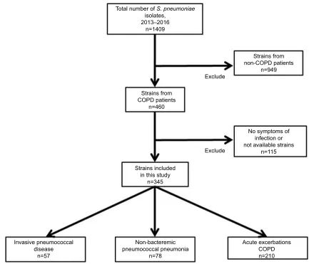 Figure 1 Flowchart representing the methodology used for the selection of Abbreviation:Streptococcus pneumoniae isolates in patients with COPD