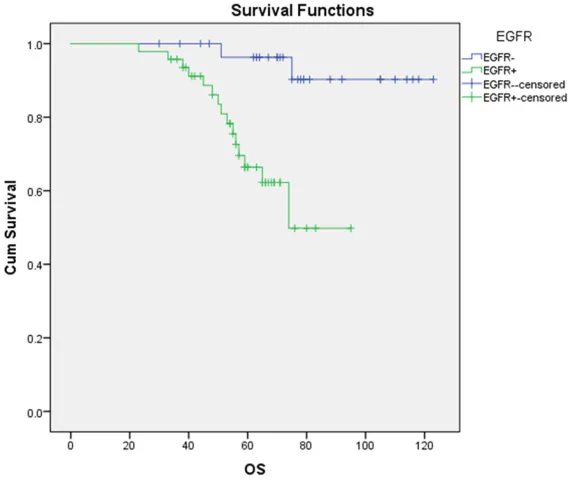 Table 1. Correlation between expression of p53, p16, EGFR, p34cdc2 and clinical features in salivary gland adenoid cystic carcinoma tissues 