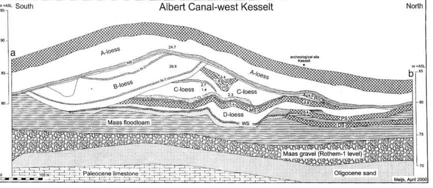 Fig. 4:  O u t c r o p of the  w e s t e r n side of the  w i d e n e d Albert Canal near Kesselt, showing a massive, almost  c o m p l e t e loess sequence