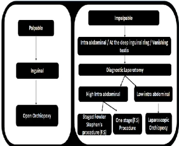 Table 3: Comparison of different authors based on  laterality.    Cryptorchidism  Authors Barthold  et al  Kumanov et al  Biswas et al  Present Study  Right Side  70%  73.9%  55.2%  30.3%  Left Side  30%  17.4%  31%  69.7% 