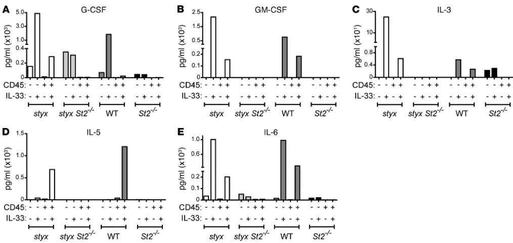 Figure 5. IL-33 is a potent inducer of cytokines and growth factors promoting myelopoiesis