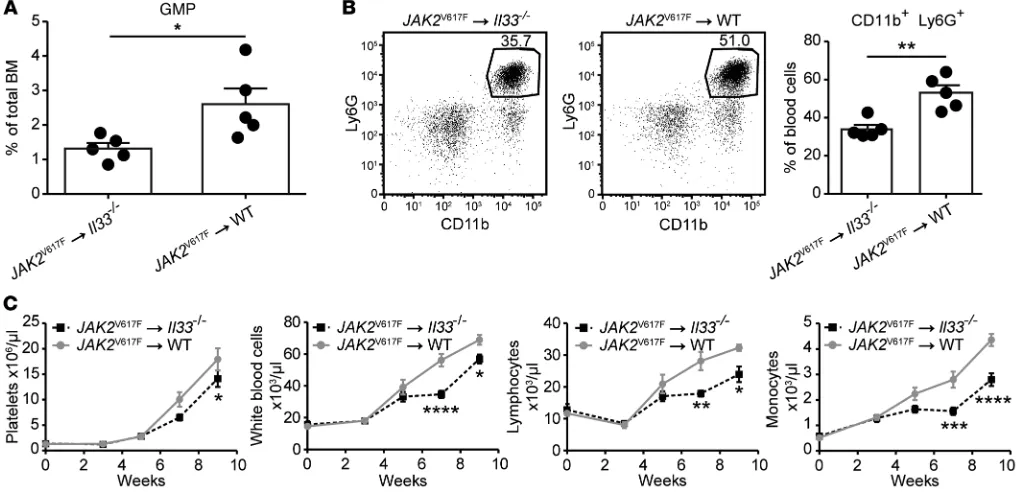 Figure 6. Stromal cell–derived IL-33 supports the development of JAK2mice were injected into lethally irradiated V617F-dependent MPNs in vivo