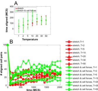 Figure S4: (A) Fraction of time a cell pair is aligned as a function of cellular temperature T , averaged over n = 100 simulations; error bars: standard  devi-ations; (B) time series of the number of cell pairs that are aligned