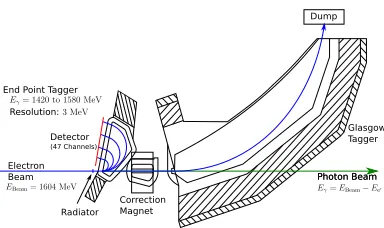 Figure 1. The photon tagging setup: Bremsstrahlung iscreated by shooting electrons on a thin metal foil