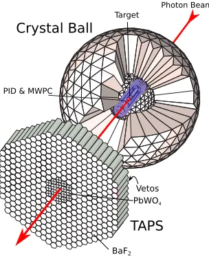 Figure 2. Sketch of photoproduction cross sections forprominent mesons (points) in the energy range coveredby the Crystal Ball/TAPS experiment, together with theenergy distribution of the bremsstrahlung spectrum (line).The End Point Tagger focuses on a nar