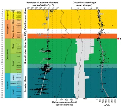 Figure 2. Evolution through time of nannofossil accumulation rate, species richness and size