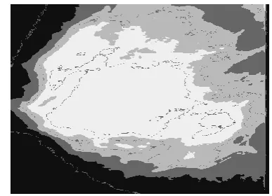 Figure -2: ROI Extracted Image 
