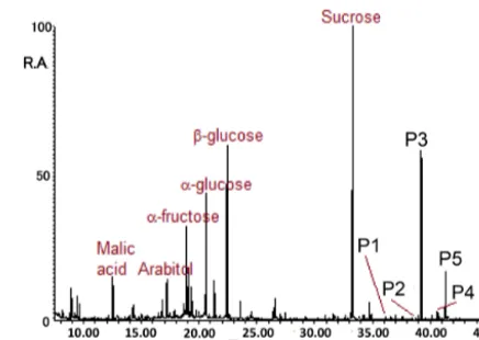 Figure 2. GC-MS total ion chromatogram obtained for the TMSderivatives. P1–P5 refer to peaks, which correspond to the sec-ondary fatty alcohols identiﬁed in this study.