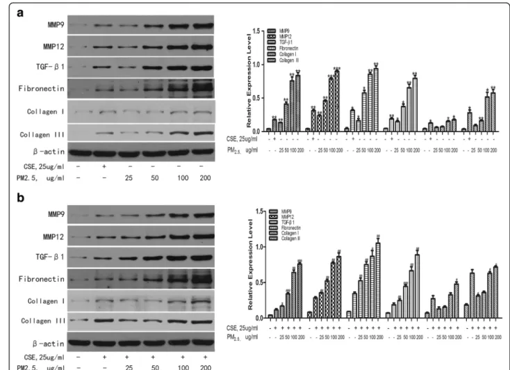 Fig. 3 Effects of PM 2.5 on the protein expression levels of MMPs, TGF- β1, fibronectin and collagen proteins
