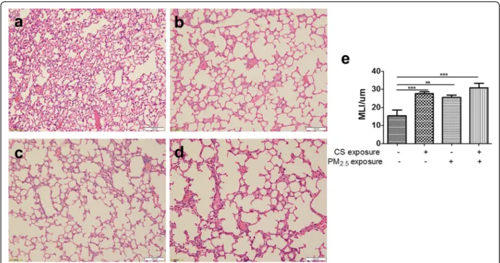 Fig. 4 Morphological and pathological changes of lung tissue in mouse model. The representative micrographs of H&amp;E-stained lung tissue of long-term exposure to PM 2.5 with or without CS for 48 weeks (a-d) (200x)