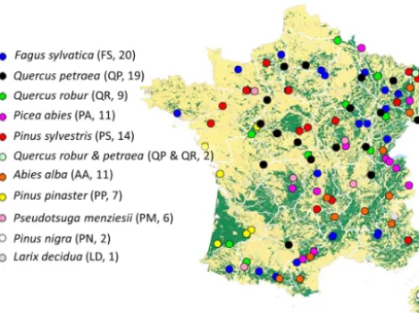 Figure 1. Geographical distribution of the sites in the RENECO-FOR network used to test Yasso07 performance (see also Jonard etal., 2017)