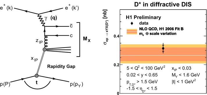 Figure 1. (left) A typical diagram of charm quark pair production in photon-dissociative diﬀractive processesin ep scattering