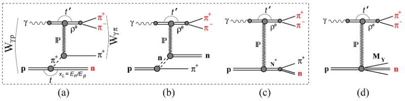 Figure 4. Diagrams for processes contributing to ρ0 production with a leading neutron at HERA