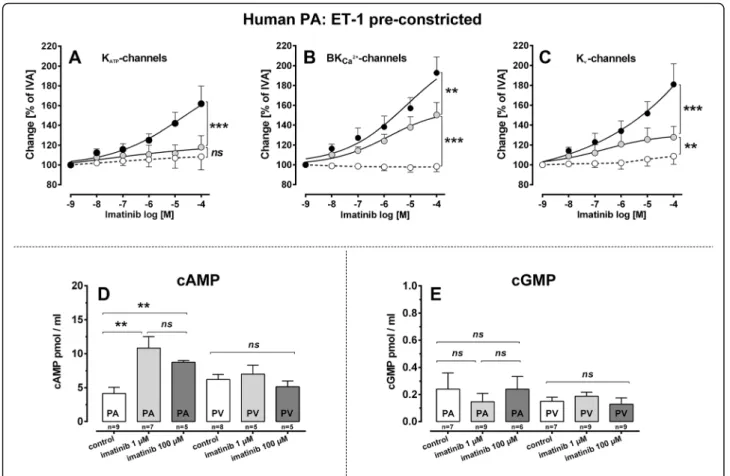 Fig. 5 Involvement of K + -channels and cAMP/cGMP to the vasorelaxant effect of imatinib