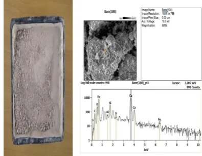 Figure 3.3, 3.4 Industrial Sludge and results of SEM test on CETP Sludge 