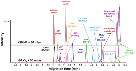 Figure 2. Extracted ion elec- elec-tropherograms obtained for a metabolite test mixture by CE–