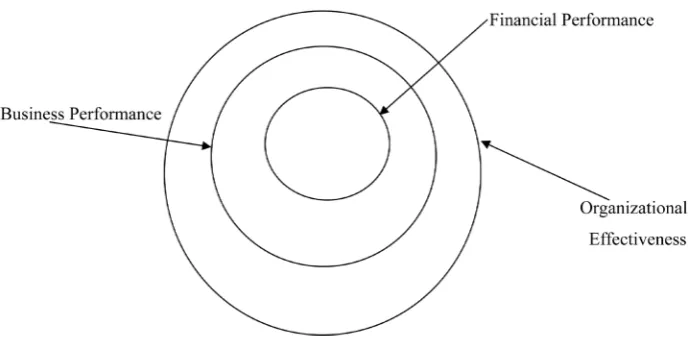 Figure 1. Organizational performance. Source: Venkatraman and Ramanujan (1986).         