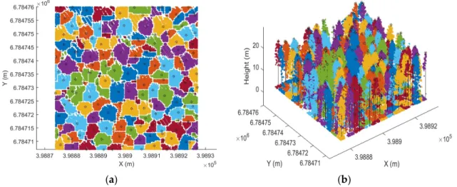 Figure 2. Result of individual tree detection for one plot. (a) top view, (b) 3D view